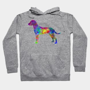 Montenegrin Mountain Hound in watercolor Hoodie